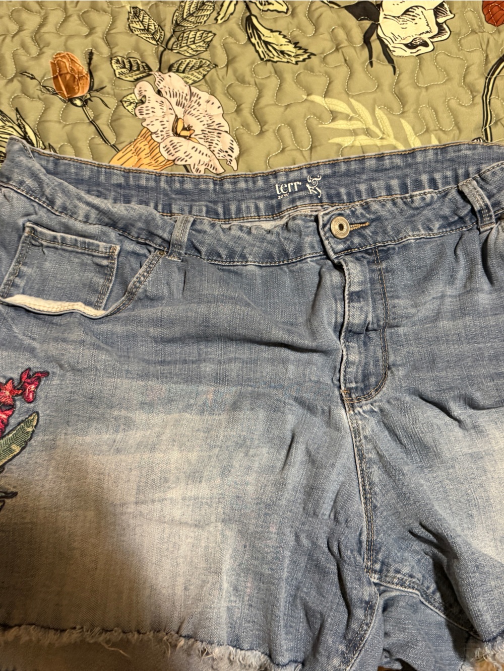 Terra sky  Light Blue Embroidered Jean Shorts